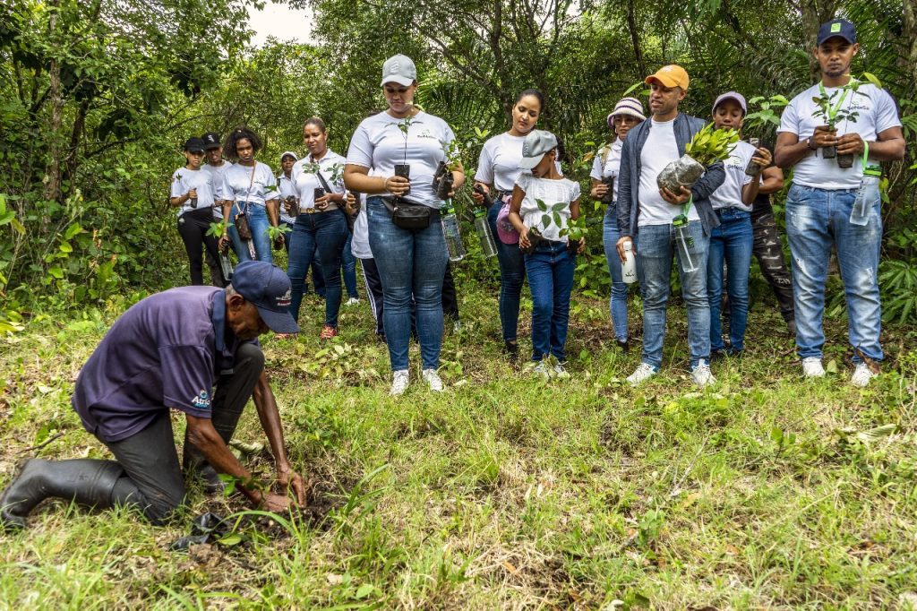 Equipo Senasa observa como plantar en jornada de reforestación Laguna Manatí