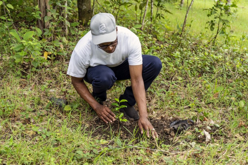 Equipo Senasa en jornada de reforestación Laguna Manatí