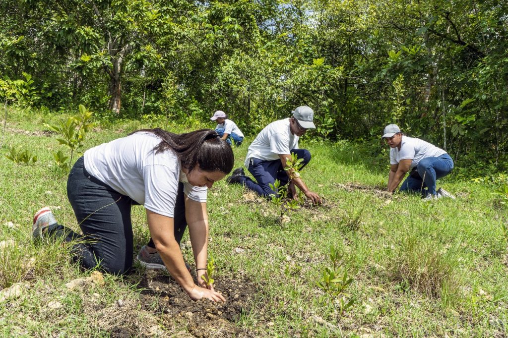 Equipo Senasa en jornada de reforestación Laguna Manatí